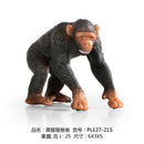 Mine Macacos da Floresta,Animais Selvagens, chimpanzé e família mandril,macaco modelos de simulação