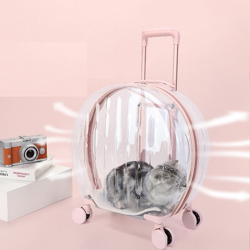 Mala de rolamento Transparente Para Pet,Trolley Case Para Gato e Cachorro,Travel Box, Stroller, Acessórios de moda