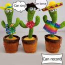 Brinquedo Cacto Dançante Falante Imita c/ Musicas,Repete Falas.