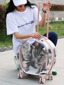 Mala de rolamento Transparente Para Pet,Trolley Case Para Gato e Cachorro,Travel Box, Stroller, Acessórios de moda