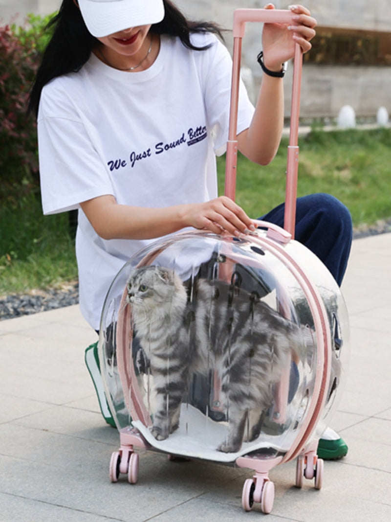 Mala de rolamento Transparente Para Pet,Trolley Case Para Gato e Cachorro,Travel Box, Stroller, Acessórios de moda