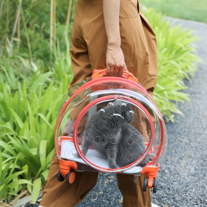 Mala Para Transportar seu Pet com Conforto e Segurança.