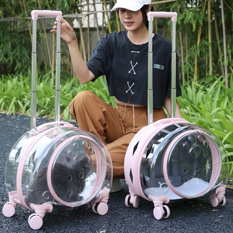 Mala Para Transportar seu Pet com Conforto e Segurança.